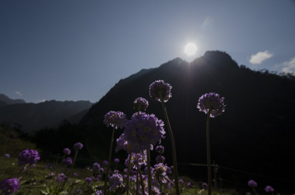 Eastern Himalaya Eastern Himalaya