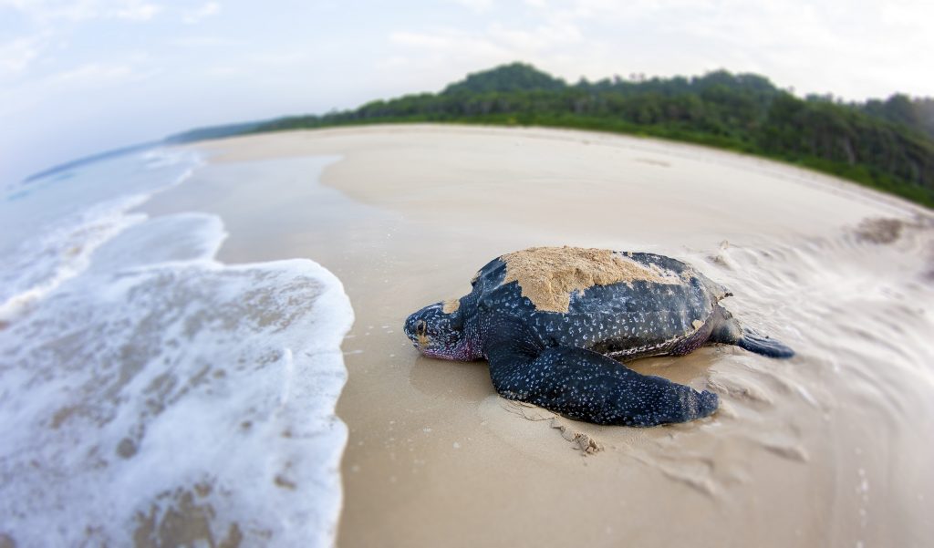 Andaman and Nicobar Islands